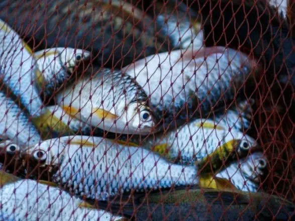 v-ukrayini-posilyat-kontrol-za-prodazhem-ribi