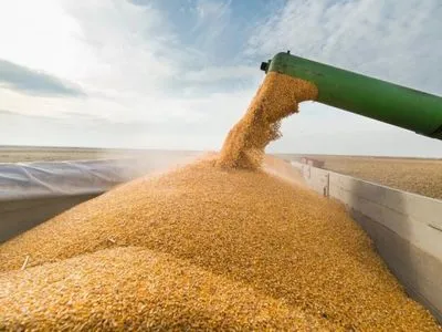 Експорт зерна у цьому сезоні на 16% менший за торішній