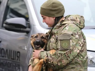 Искатели взрывчатки: Фонд Говарда Баффета передал полиции Киевщины служебных собак