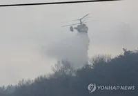 Сильний вітер третій день розпалює лісові пожежі у Південній Кореї
