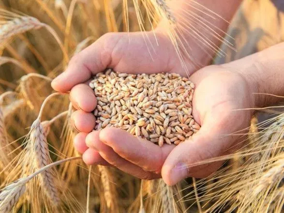 У Польщі заявили, що імпорт зерна з України припинено щонайменше до липня