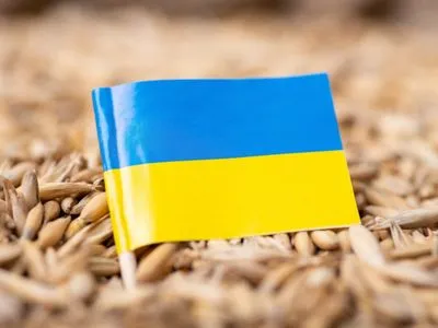У Польщі вирішили тимчасово заборонити імпорт українського зерна. У Мінагрополітики кажуть, що рішення суперечить домовленостям