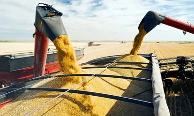 Угорщина заборонила імпорт українського зерна