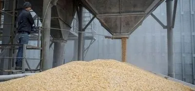 Румунія запровадить митний контроль усієї агропродовольчої продукції, що надходить з України, не ввівши заборони на імпорт