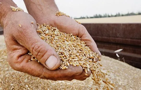 росіяни крадуть у мирних жителів зерновий урожай — Генштаб