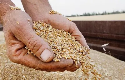 росіяни крадуть у мирних жителів зерновий урожай — Генштаб
