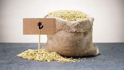 Туреччина запровадила 130-відсоткове імпортне мито на деякі види зерна