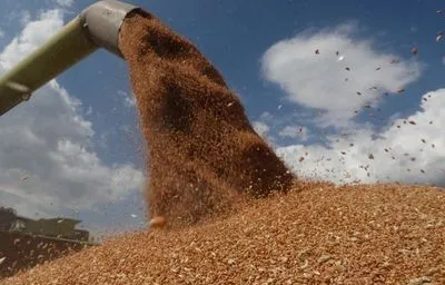 Украина призывает к глобальному давлению на россию из-за "зерновой сделки"