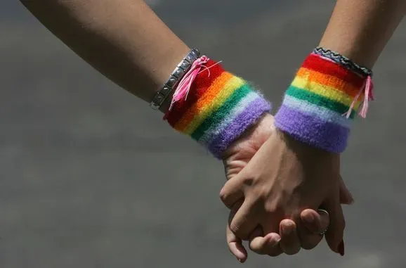 Электронная петиция в поддержку однополого партнерства набрала более 25 тысяч голосов