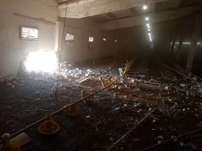 Рашисты атаковали предприятие на Днепропетровщине: погибло 700 голов птицы