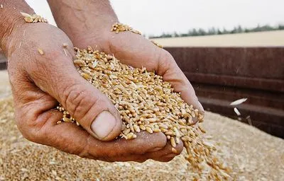 Зеленский назвал "деструктивной" ситуацию вокруг запрета отдельными государствами на импорт украинского зерна