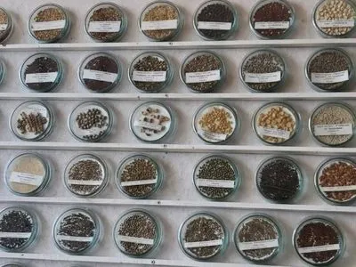 ФАО перевезла колекцію унікальних зразків насіння рослин з Харкова на захід України