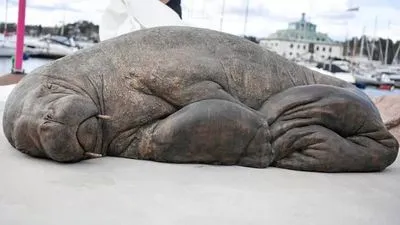 В Норвегии открыли скульптуру моржа в натуральную величину