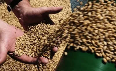 С нуля до 130%: с сегодняшнего дня Турция вводит заградительную пошлину на украинское зерно