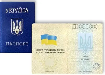 Мовний омбудсмен хоче прибрати російську мову з українських паспортів