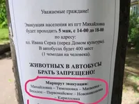Окупанти хочуть "евакуювати" до Бердянська 70 тисяч українців