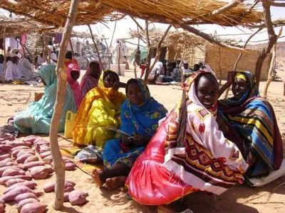 Збройний напад на село у Чаді - загинуло 16 осіб та немовля