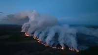 Масштабні лісові пожежі в Канаді: палає провінція Британська Колумбія