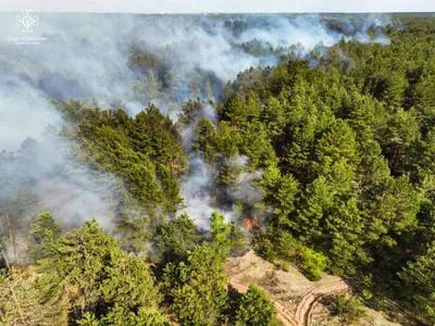 Лесной пожар под Киевом локализовали