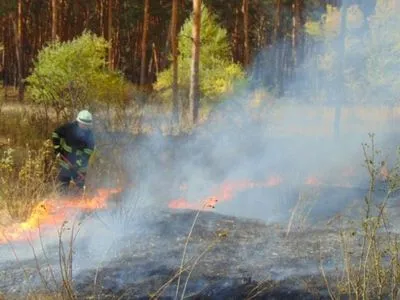 Під Києвом загорілася лісова підстилка, ДСНС працює з лісниками