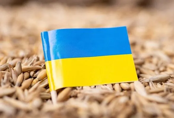 Работу зернового коридора саботируют каждый день: какие сценарии подготовили украинские дипломаты на случай окончательного выхода рф из соглашения