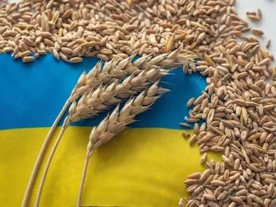 В Турции заявляют, что зерновая сделка будет продлена