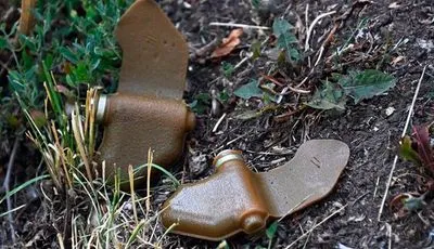 В Харьковской области в собственном дворе мужчина подорвался на мине-"лепестке"