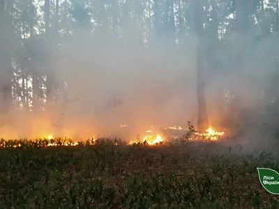 На Черниговщине продолжается лесной пожар, к которому привели российские обстрелы