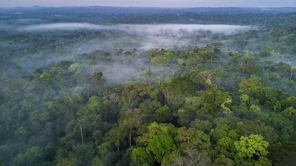 Бразилія проведе кліматичний саміт COP30 в Амазонії у 2025 році