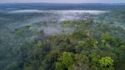 Бразилія проведе кліматичний саміт COP30 в Амазонії у 2025 році