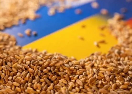 "Зерновая инициатива": россия заблокировала регистрацию входящего флота во все порты Украины