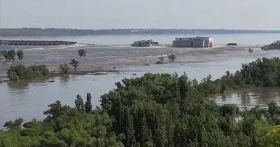 Подрыв Каховской ГЭС: почти 55 тыс. гектаров лесов оказались под угрозой затопления