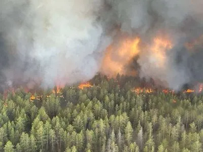 В Казахстані лісова пожежа поширилася на 30 тисяч гектарів