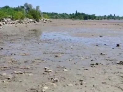 Как сейчас выглядит побережье Каховского водохранилища: показали видео