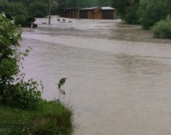 Большая вода на Львовщине: из подтопленных домов в Сходнице спасли 15 человек