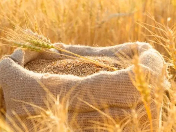 Румыния попросит ЕС продлить ограничения на импорт зерна из Украины