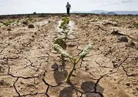 Всесвітній день боротьби з опустелюванням і посухою, День крокодила. Що ще можна відзначити 17 червня