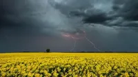 Завтра ухудшится погода: украинцев предупредили о грозах