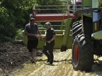 В Одесской области стартовал сбор урожая: основная проблема - нехватка кадров