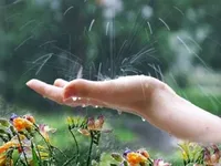 Тепло, но с дождями: прогноз погоды на сегодня