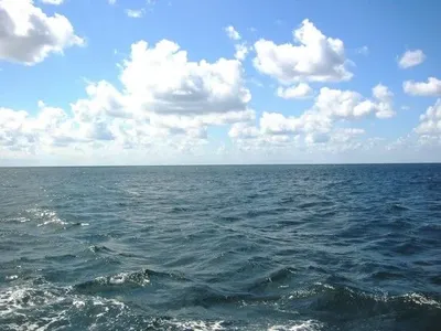 Соленость воды в Черном море после подрыва дамбы выравнивается - Одесская ОГА