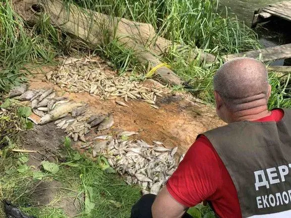 На Харьковщине в реке Уды погибло более 2 тыс. рыбин и пять уток