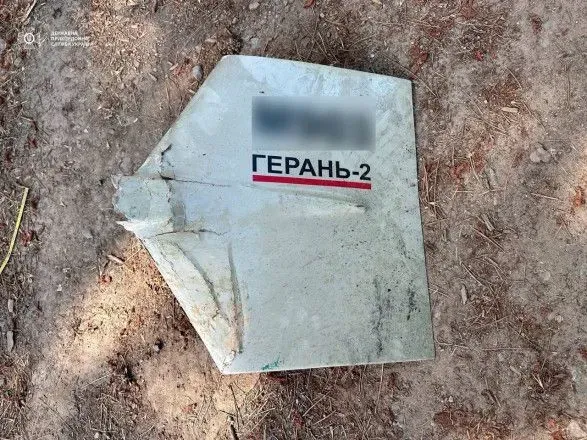 Устроили адское приземление: пограничники в Одесской области эффектно уничтожили дрона-убийцу