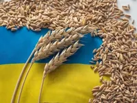 Припинення "зернової угоди": що чекає на інші держави через нестачу української продукції