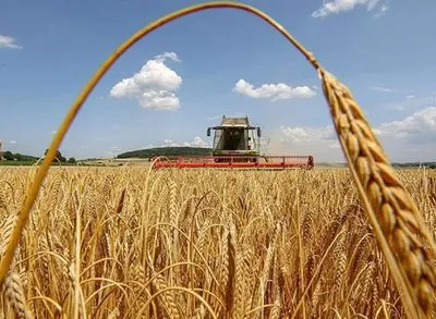 Жнива в Україні: намолочено понад 2 млн тонн зерна