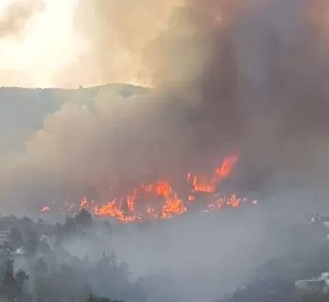 Лісові пожежі в Іспанії спричинені спекою: щонайменше 2 000 людей евакуйовано