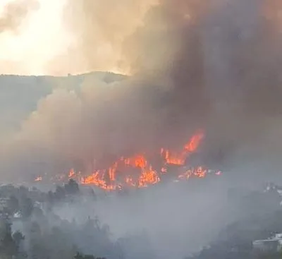 Лісові пожежі в Іспанії спричинені спекою: щонайменше 2 000 людей евакуйовано