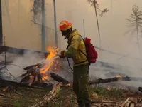 Через лісову пожежу у Чехії постраждало пять рятувальників