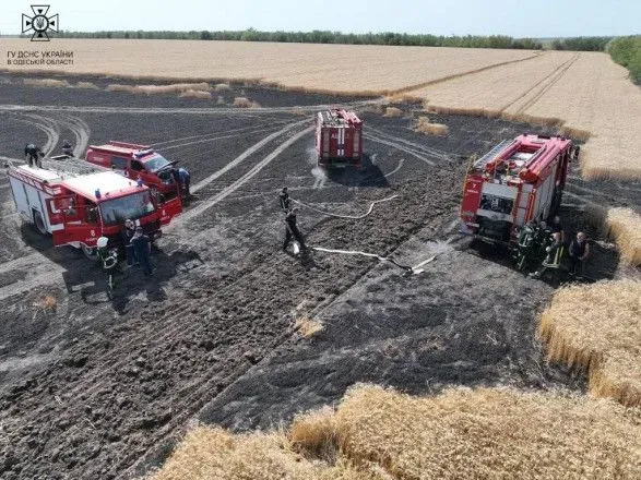 В Одесской области огнем уничтожено 10 га поля с пшеницей: в ГСЧС показали, как пожарные спасали хлеб