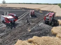 На Одещині вогнем знищено 10 га поля з пшеницею: у ДСНС показали, як вогнеборці рятували хліб